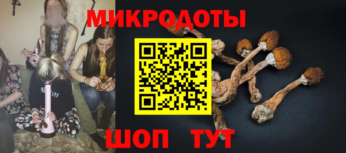 Псилоцибиновые грибы Cubensis  Вход с VPN  Кимры 