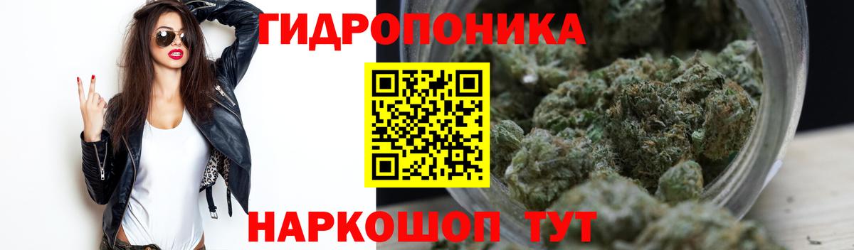 Шишки марихуана VHQ  Каннабис Bruce Banner  Вход с VPN  МАРИХУАНА конопля  Шишки марихуана индика  Кимры 